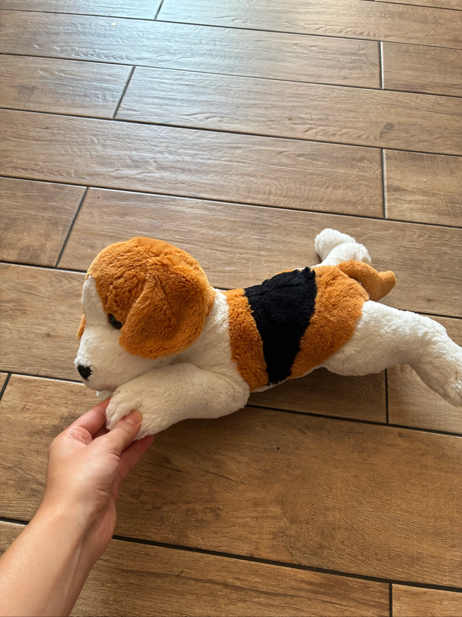 Peluche chien 